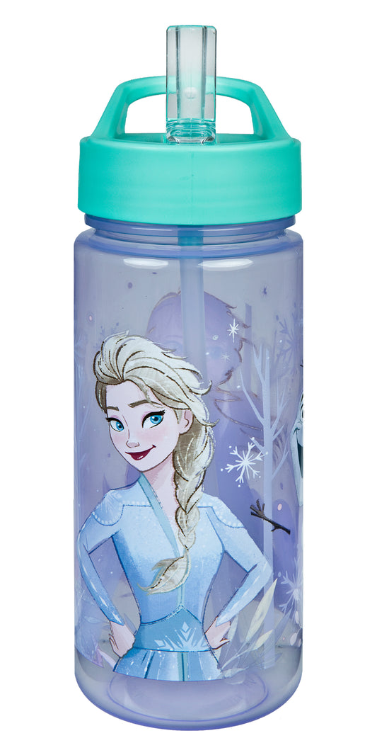 Frozen Aero drinking bottle - Sisters