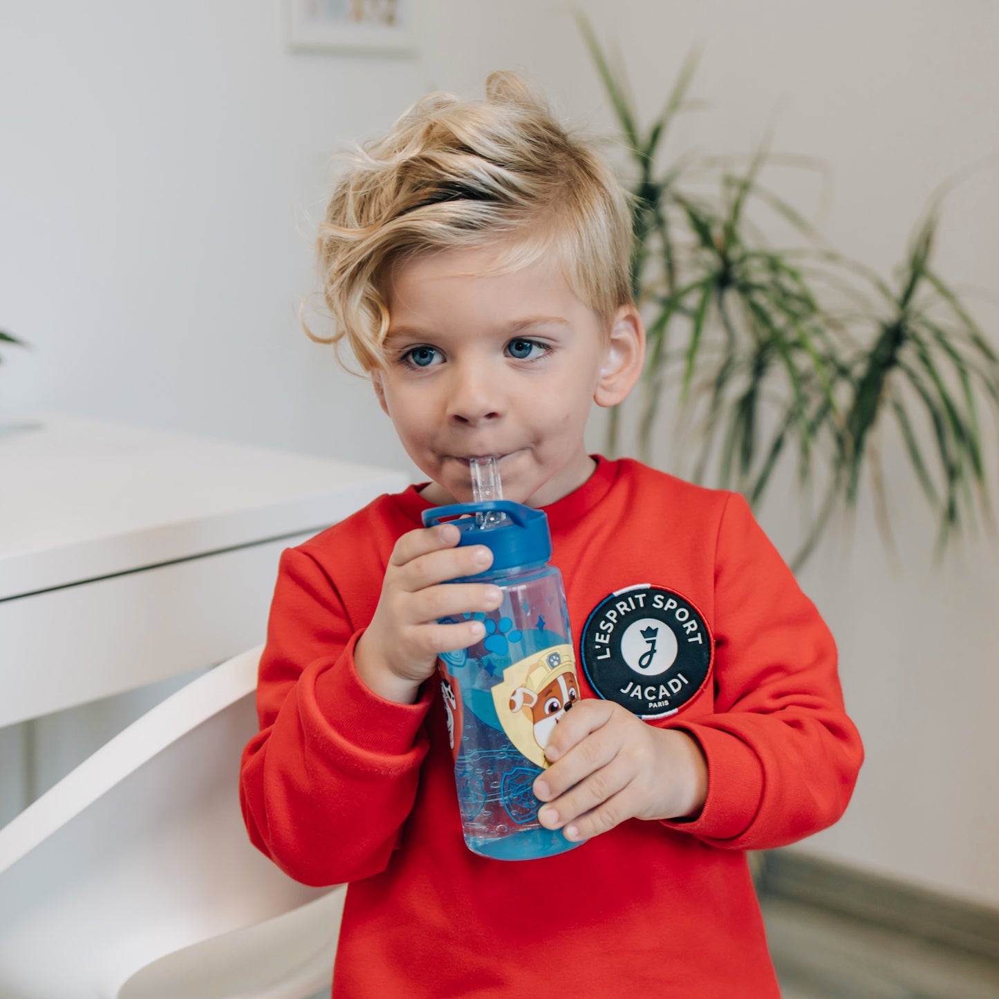 Ķepu patruļa Aero ūdens pudele – 500ml