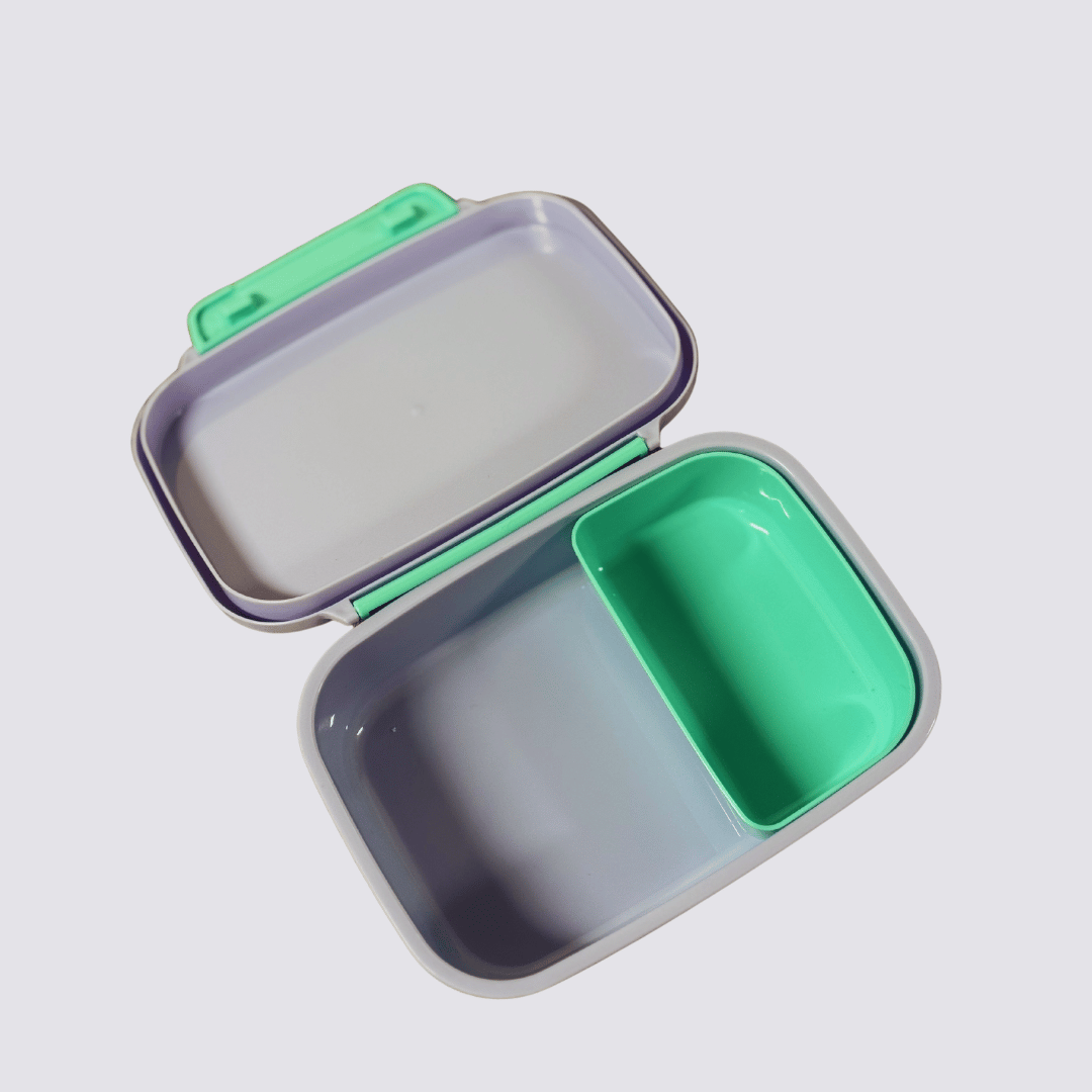 Frozen Lunch set - Sisters