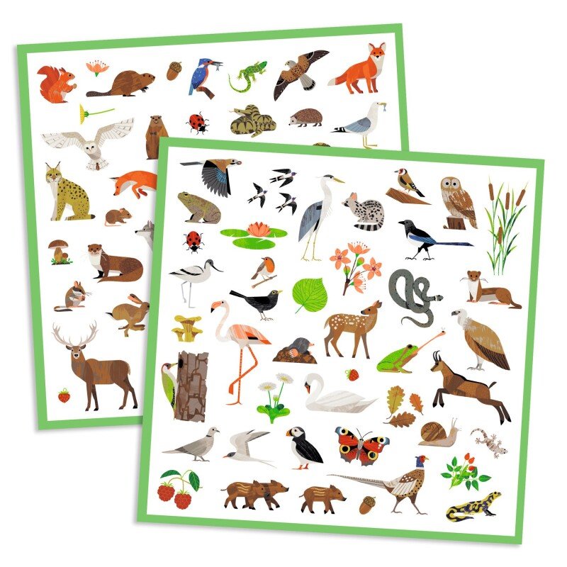 Djeco 160 Stickers – Fauna | Forest & European Wildlife Animal Sticker Set for Kids