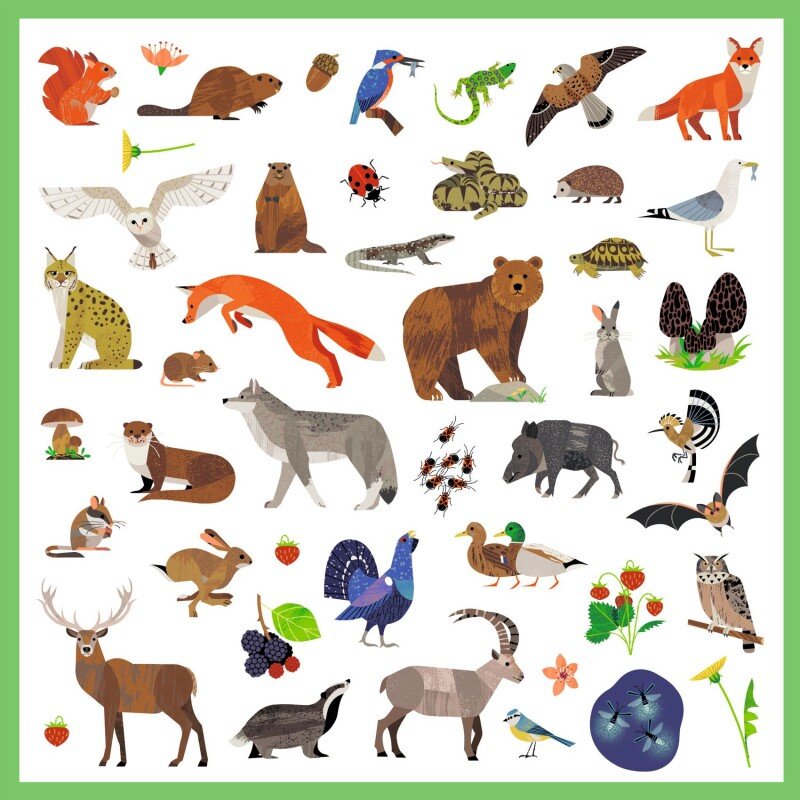 Djeco 160 Stickers – Fauna | Forest & European Wildlife Animal Sticker Set for Kids