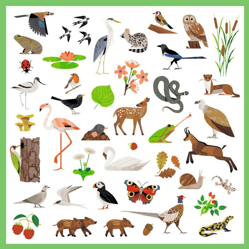 Djeco 160 Stickers – Fauna | Forest & European Wildlife Animal Sticker Set for Kids