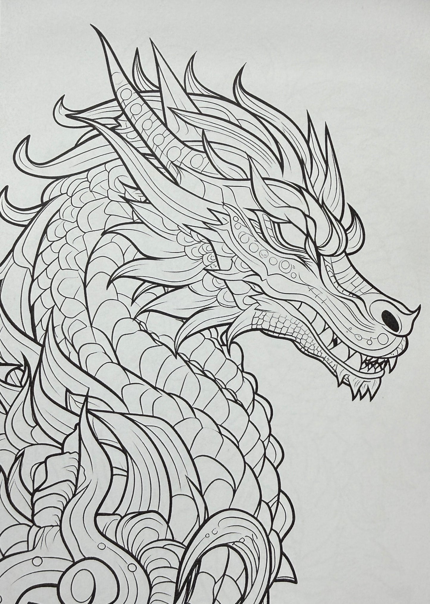 Pūķis pret Dinozauru – Krāsojamā grāmata bērniem | Fantāzijas piedzīvojumi